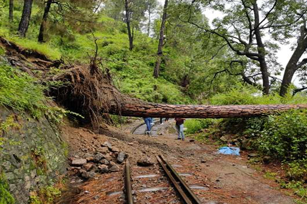 कालका शिमला रेलवे ट्रैक पर पेड़ गिरने से एक घंटे से रूकी रही ट्रेन