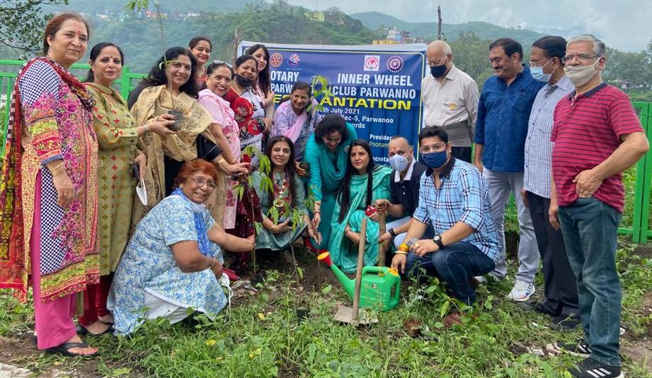 परवाणू: रोटरी क्लब और इनरव्हील क्लब ने वन विभाग के साथ मिलकर किया संयुक्त पौधरोपण