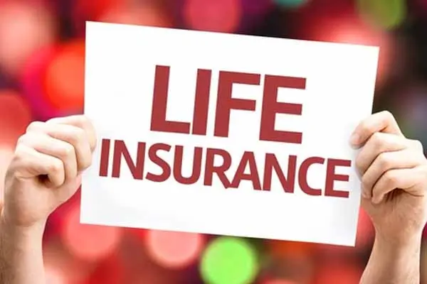 Insurance Shares: जानिए इंश्योरेंस शेयरों में निवेश के फायदे और जोखिम 