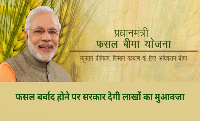 PM Fasal Bima Yojana 2024 : प्रधानमंत्री फसल बीमा योजना योग्यता डॉक्यूमेंट आवेदन प्रक्रिया संपूर्ण जानकारी जाने