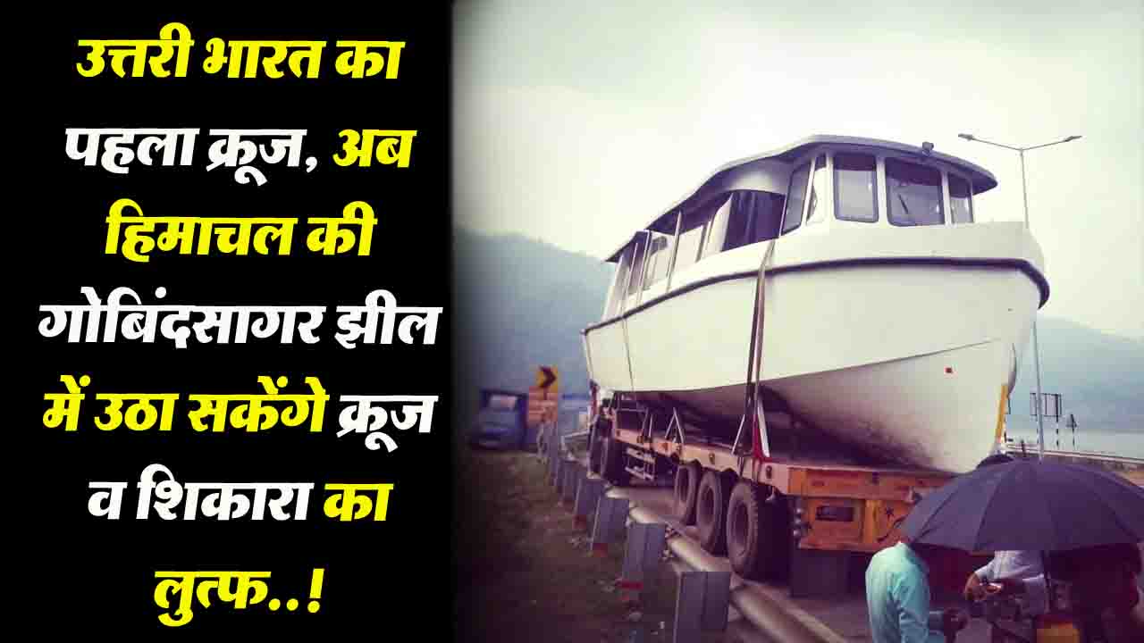 Cruise and Shikara in Himachal: हिमाचल की गोबिंदसागर झील में अब उठा सकेंगे क्रूज व शिकारा का लुत्फ!