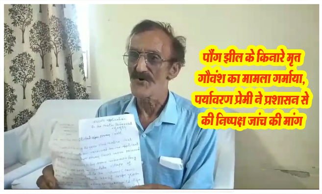 Kangra News: पौंग झील के किनारे मृत गौवंश का मामला गर्माया: पर्यावरण प्रेमी ने प्रशासन से की निष्पक्ष जांच की मांग