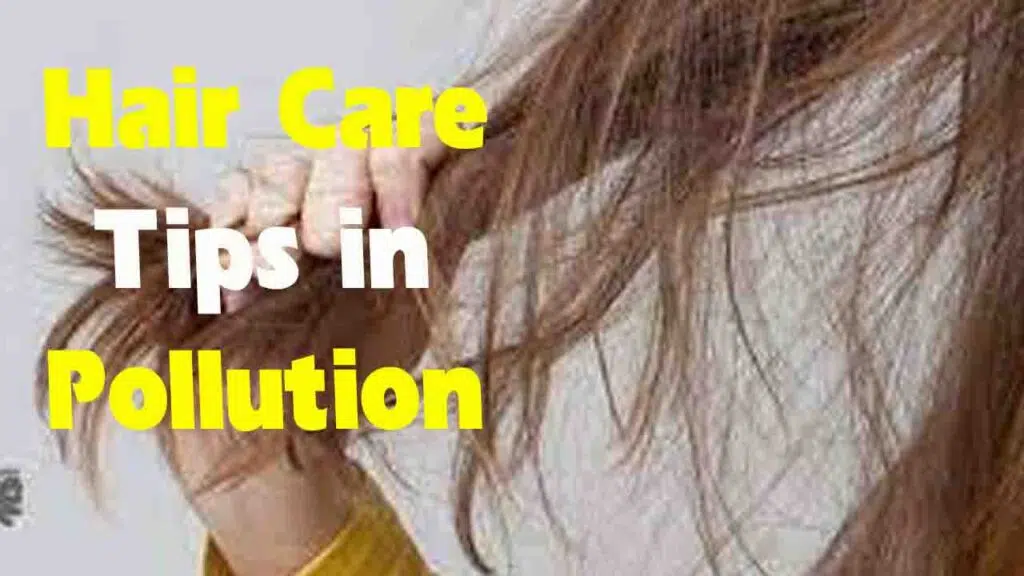 Hair Care Tips: प्रदूषण में बालों की देखभाल के लिए अपनाए शहनाज़ हुसैन के ये सुझाव..!