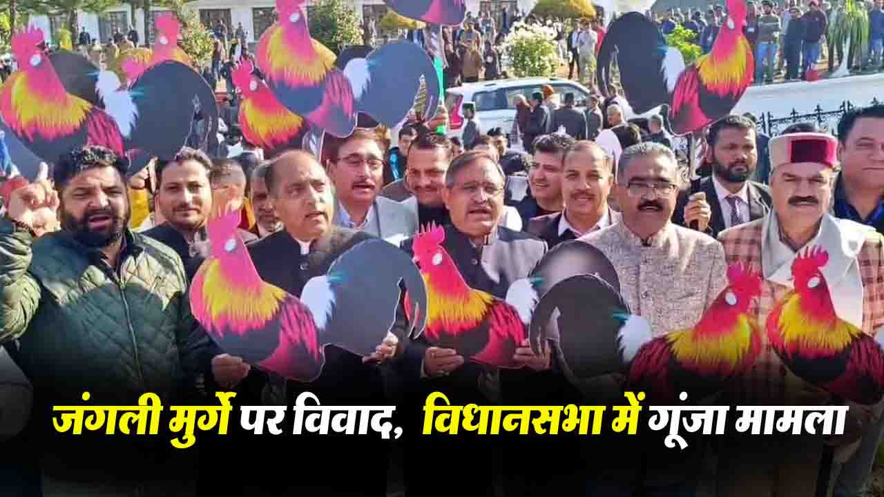 Himachal News: जंगली मुर्गे पर विवाद: विधानसभा परिसर में भाजपा का जोरदार प्रदर्शन..!